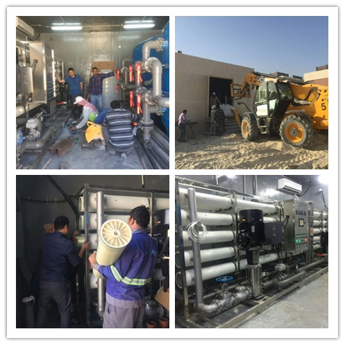 2000lpd 3000lpd 4000lpd 5000L/D Sea Water Desalination System Reverse Osmosis System