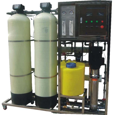 塩性汽水 1000 l/h、逆浸透水処理、TDS 2000 ppm～20000 ppm